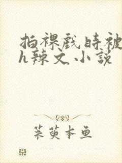 拍裸戏时被c了h辣文小说