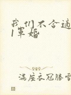 我们不合适1v1军婚