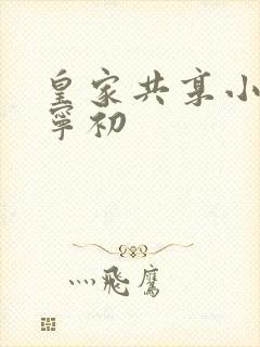 皇家共享小公主宁初