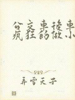 公交车后车座的疯狂的做小封面
