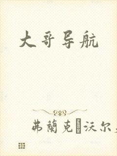 大哥导航