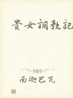 贵女调教记