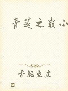 青莲之巅小说