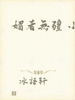 媚者无疆 小说封面