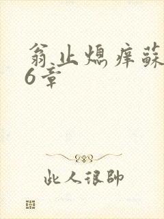 翁止熄痒苏玥第6章