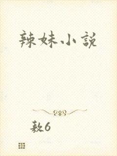 辣妹小说