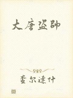 大唐盗帅封面