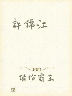 许锦江封面