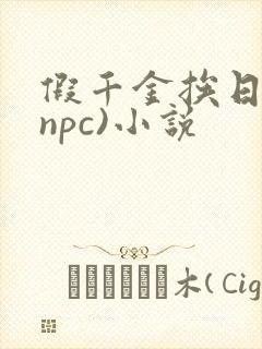 假千金挨日记(npc)小说