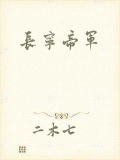长宁帝军封面