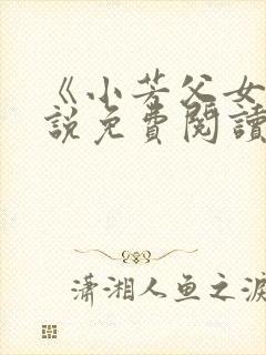 《小芳父女》小说免费阅读