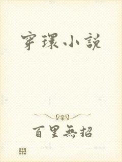 穿环小说