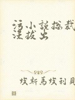 污小说总裁整夜没拔出