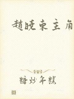 赵晓东主角小说