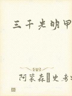三千光明甲封面