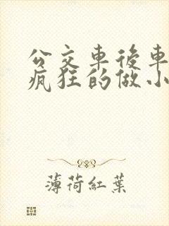 公交车后车座的疯狂的做小封面