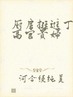 厨房挺进丁字裤高官贵妇