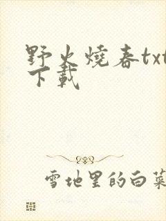 野火烧春txt下载