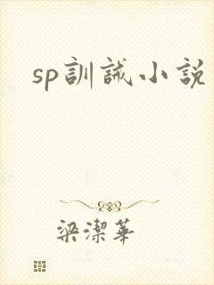 sp训诫小说封面