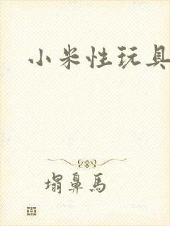 小米性玩具日记