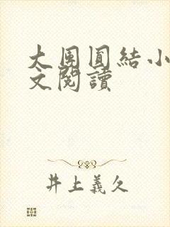 大团圆结小茹全文阅读