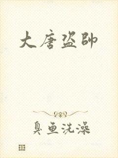 大唐盗帅封面