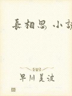长相思 小说