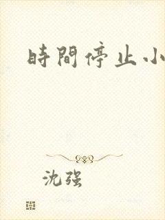 时间停止小说