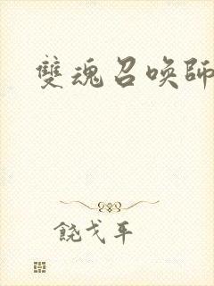 双魂召唤师