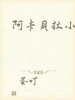 阿卡贝拉小说