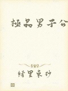 极品男子公寓