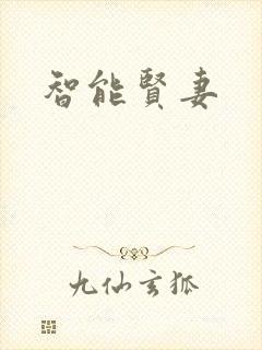 智能贤妻封面