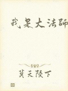 我是大法师封面