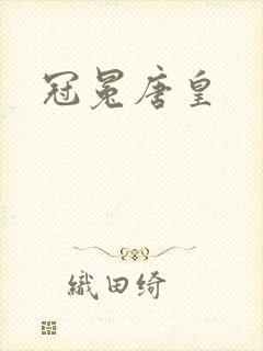 冠冕唐皇封面