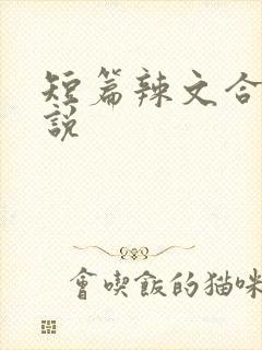短篇辣文合集小说