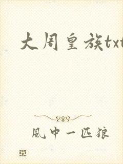 大周皇族txt