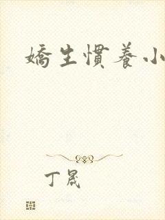 娇生惯养小说