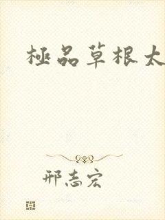 极品草根太子