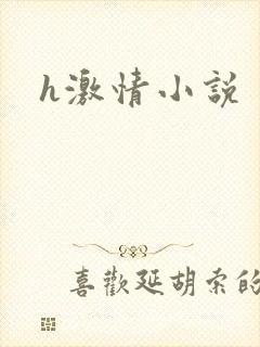 h激情小说