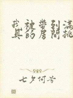 我被带到满是玩具的房间挑调作文