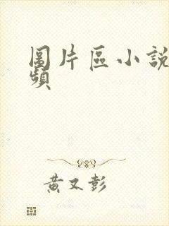图片区小说区视频封面
