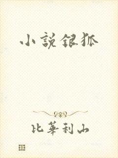 小说银狐
