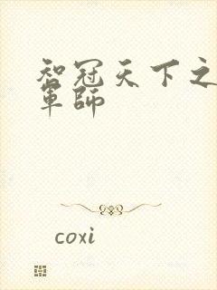 智冠天下之风流军师封面