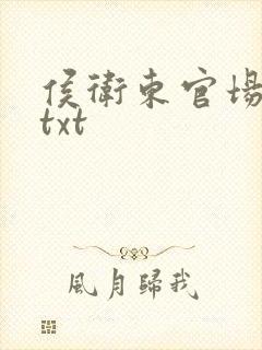 侯卫东官场笔记txt