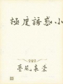 极度诱惑小说