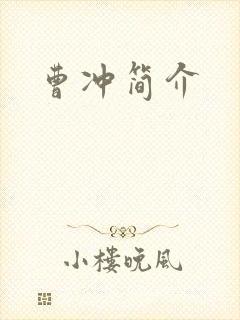曹冲简介