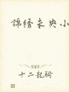 锦绣未央小说