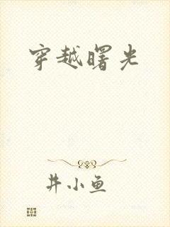 穿越曙光