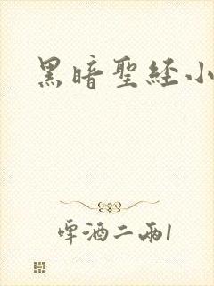 黑暗圣经小说
