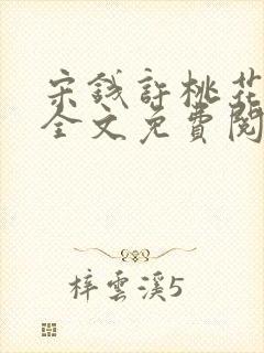 宋钱许桃花小说全文免费阅读